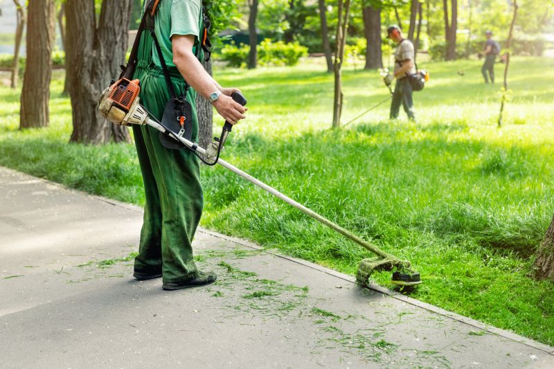 Landscaping and Tree Maintenance
