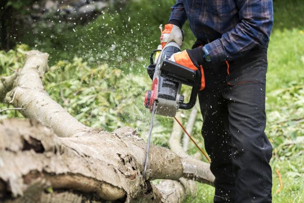 Branch Removal Service in Decatur