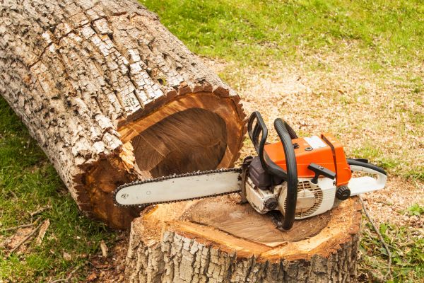 Tree Cutting Service in Decatur