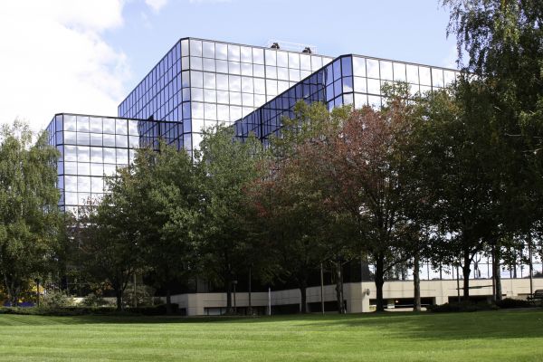 Commercial Tree Trimming in Decatur