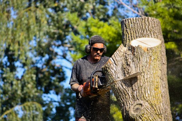 Ash Tree Pruning in Decatur